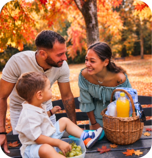 family picnic